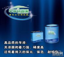 廣德多樂士漆業(yè) 廣州至武漢汽車用品優(yōu)質供應商